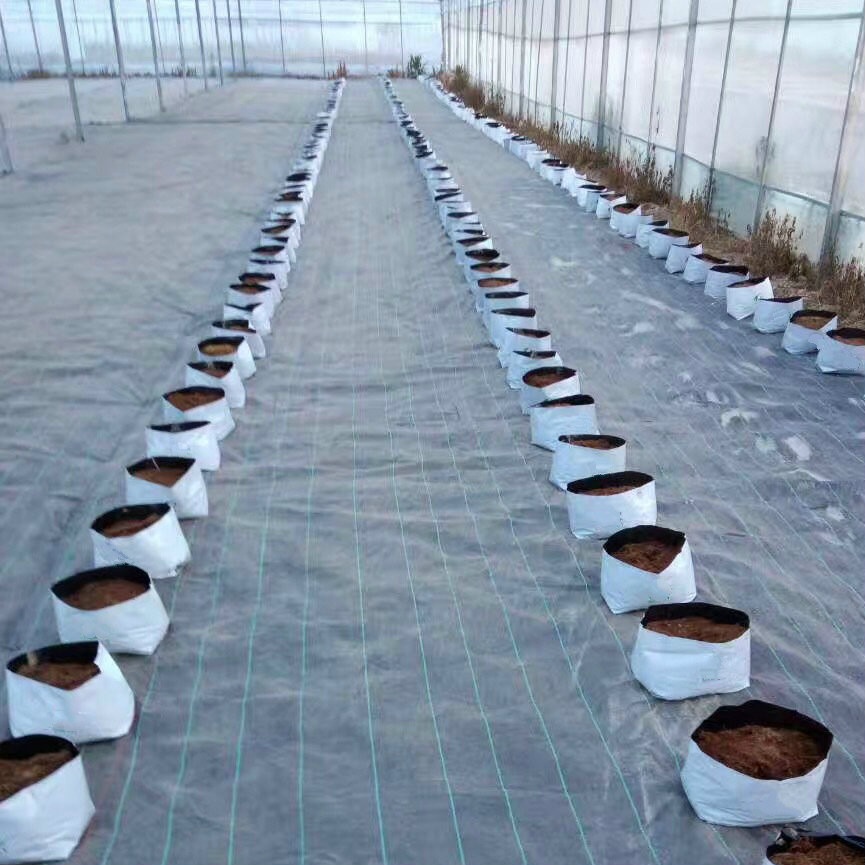 Black & White PE Planting Film