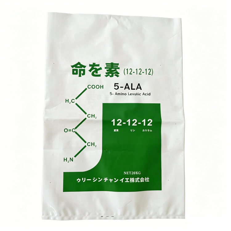 Custom PE Bags